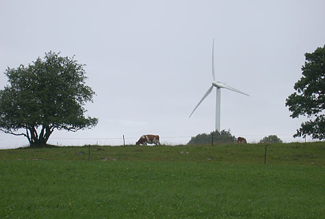 Gwärbler-Usflug 2005