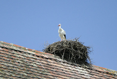 Gwärbler-Usflug 2006