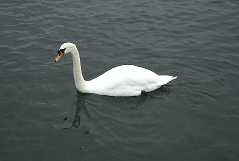 Gwärbler-Usflug 2007