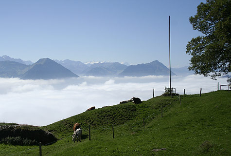 Gwärbler-Usflug 2007